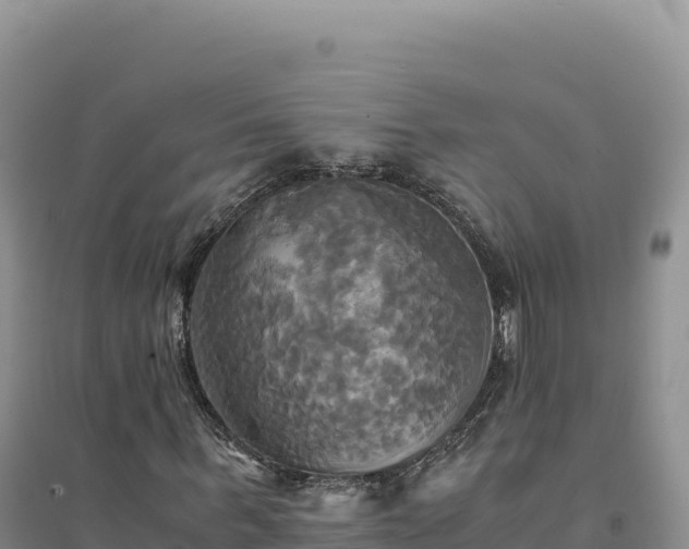 X0000094370963200711091534