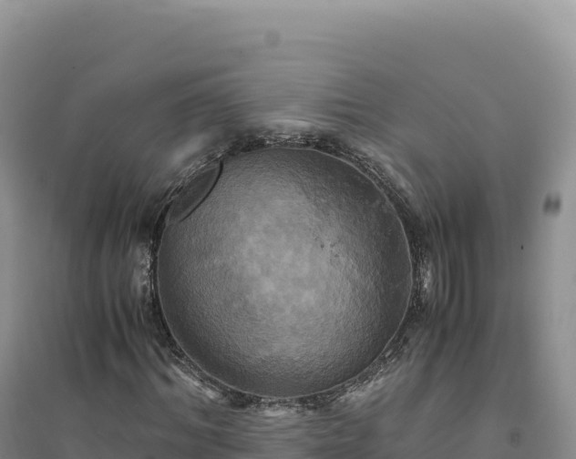 X0000094370964200711091534
