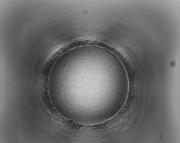 X0000094370967200711091534