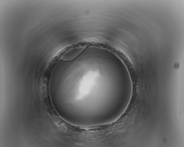 X0000094370968200711091534