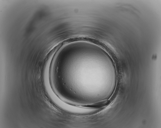 X0000094370969200711091534