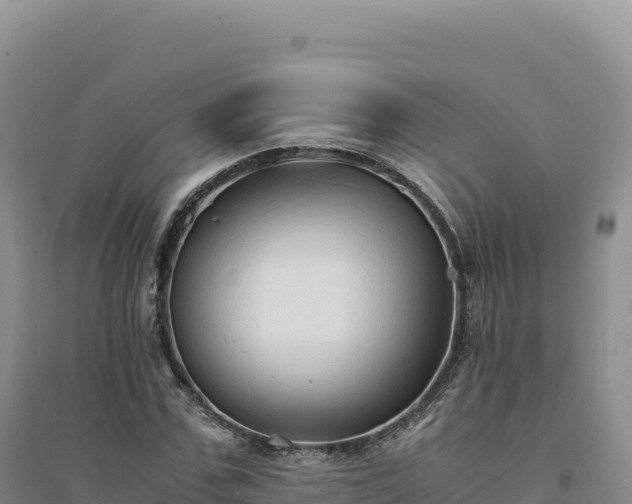 X0000094370971200711091534