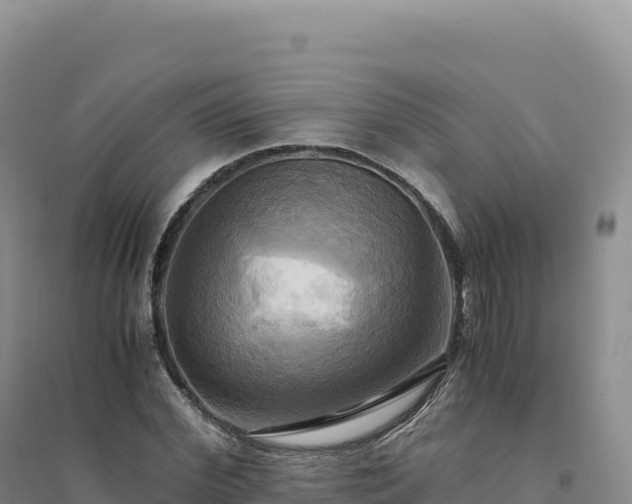 X0000094370972200711091534