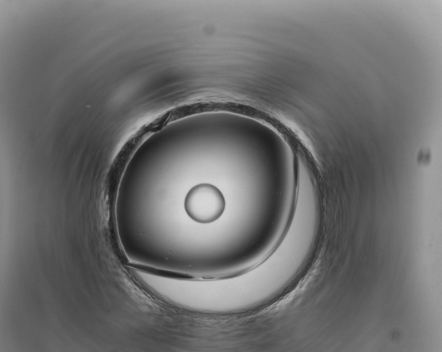 X0000094370973200711091534