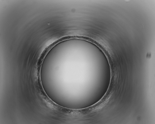 X0000094370974200711091534