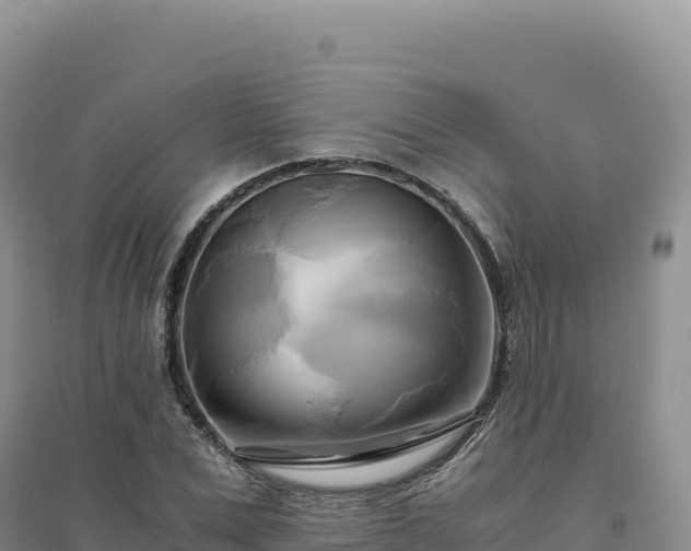 X0000094370975200711091534