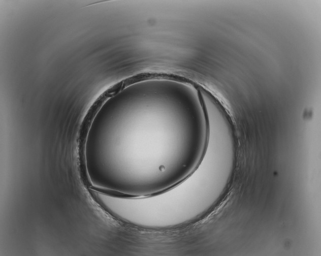 X0000094370976200711091534