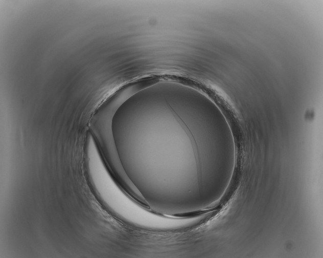 X0000094370977200711091534