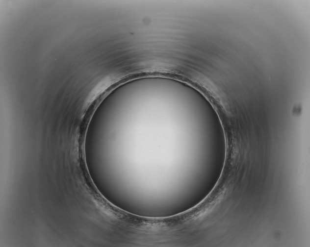 X0000094370978200711091534