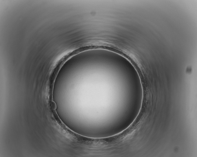 X0000094370979200711091534