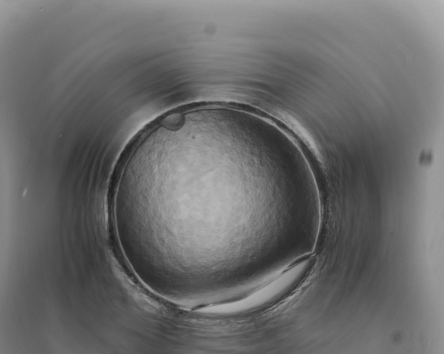 X0000094370980200711091534