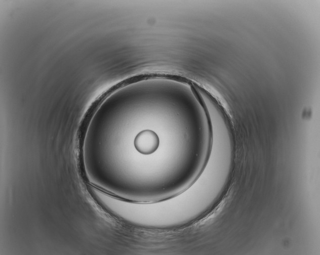 X0000094370981200711091534