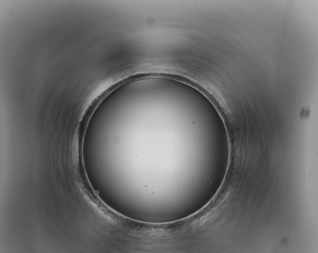 X0000094370982200711091534