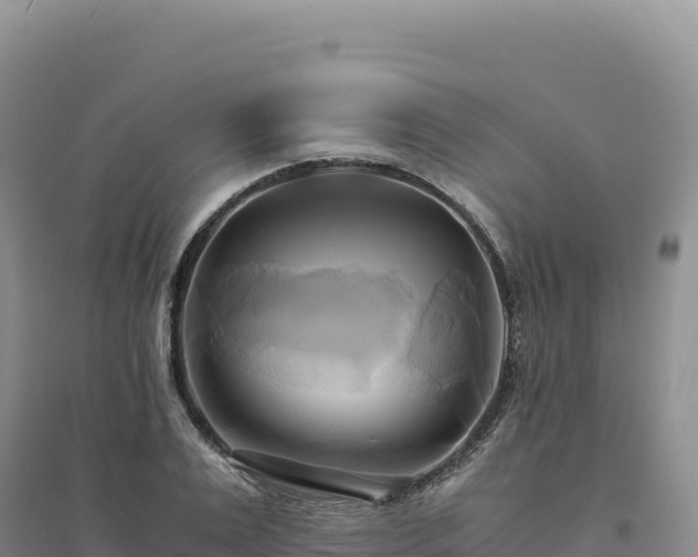 X0000094370983200711091534