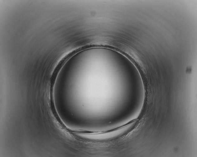 X0000094370984200711091534