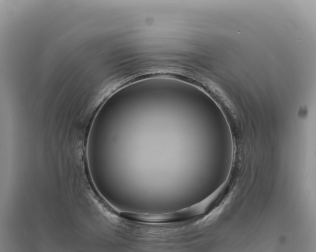 X0000094370985200711091534