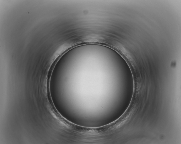 X0000094370986200711091534