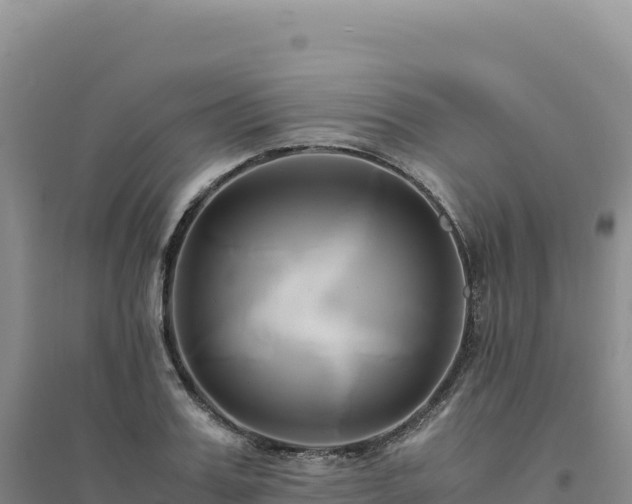 X0000094370987200711091534