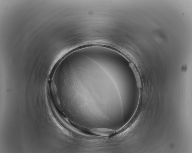 X0000094370989200711091533