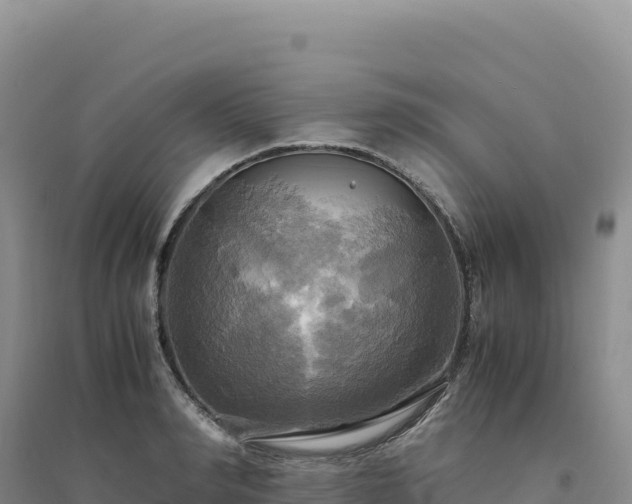 X0000094370990200711091533