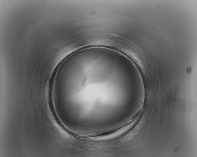 X0000094370991200711091533