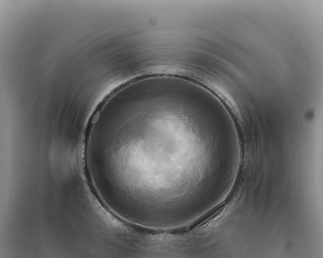 X0000094370992200711091533