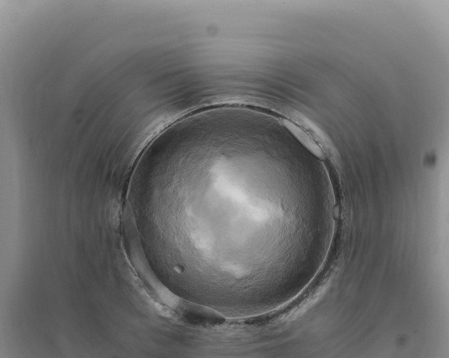 X0000094370993200711091533