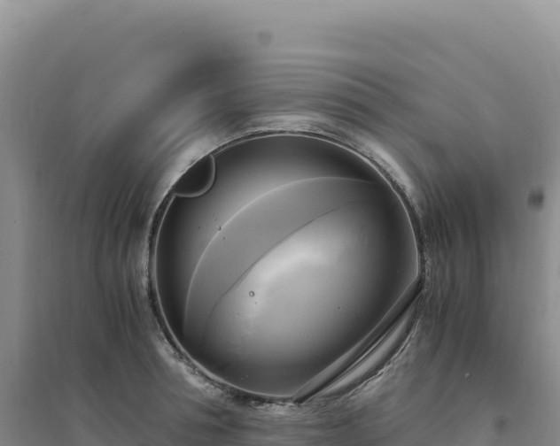X0000094370994200711091533