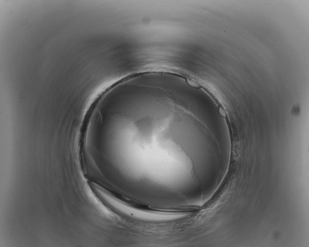 X0000094370995200711091533