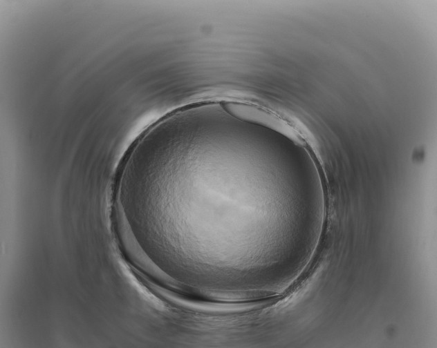 X0000094370997200711091533