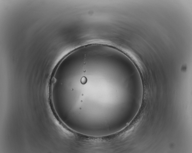 X0000094370999200711091533