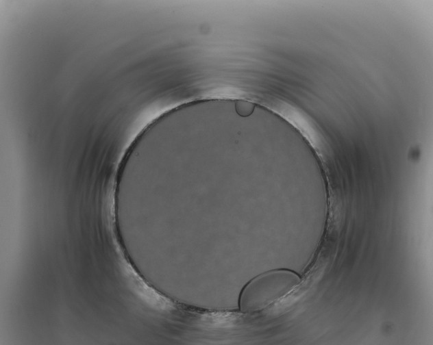 X0000094371000200711091533