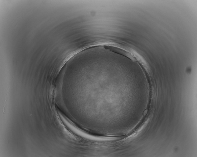 X0000094371001200711091533