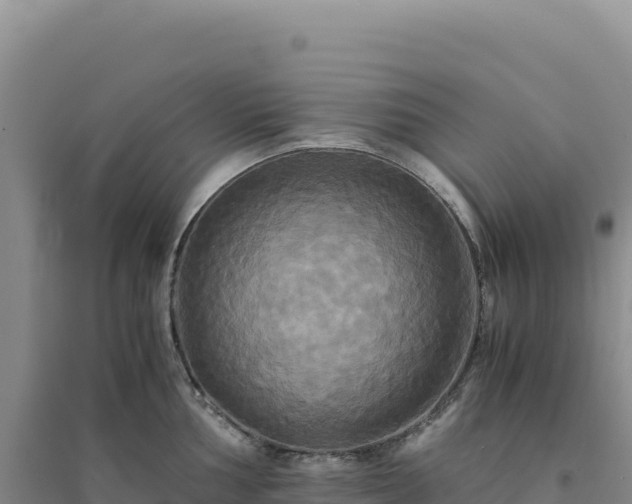 X0000094371002200711091533