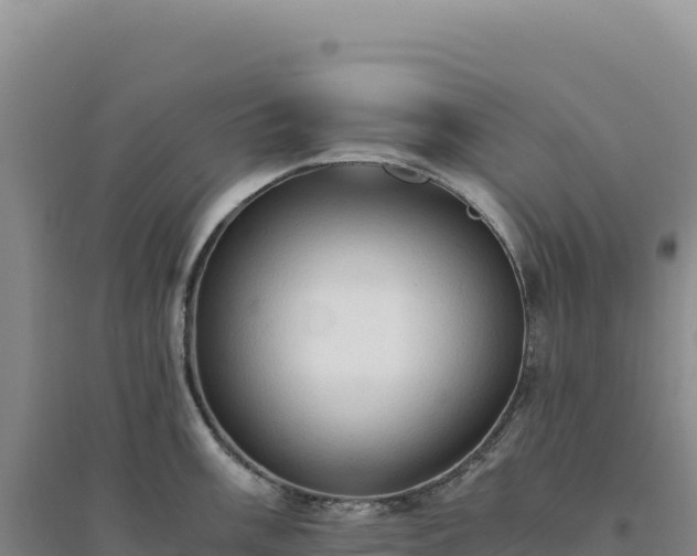 X0000094371003200711091533