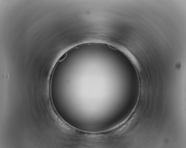 X0000094371004200711091533