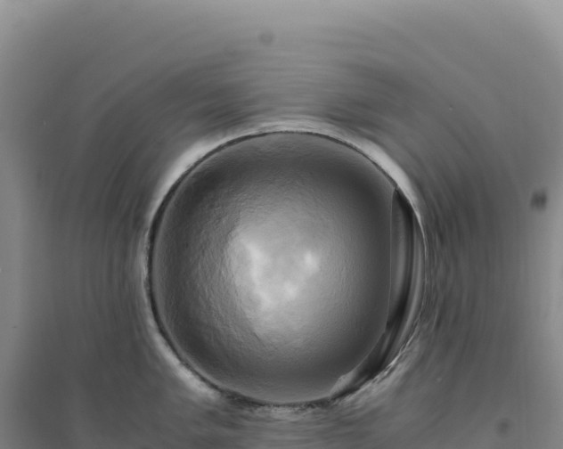X0000094371005200711091533