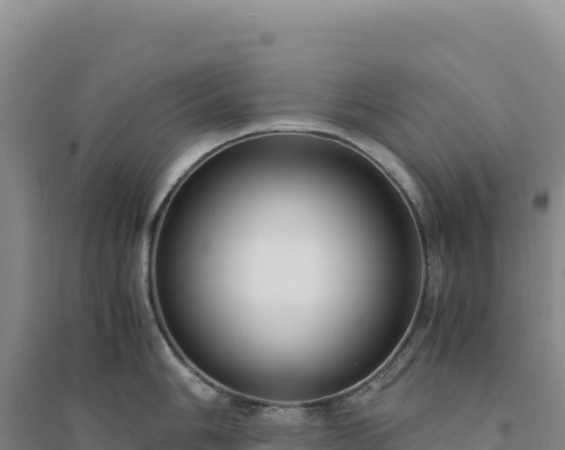 X0000094371006200711091533