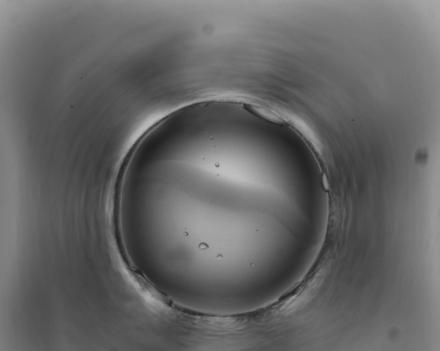 X0000094371007200711091533