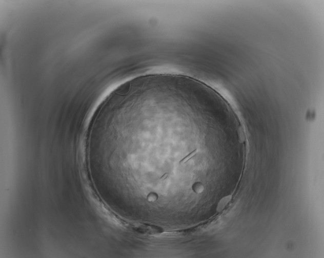 X0000094371008200711091533