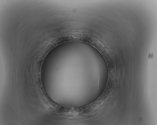 X0000094371009200711091532