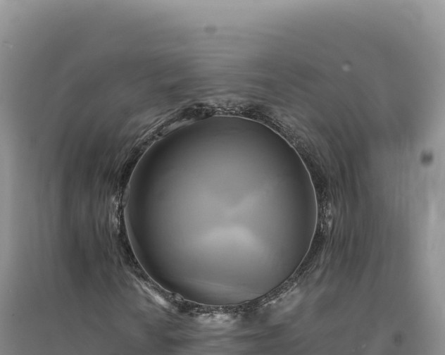 X0000094371010200711091532