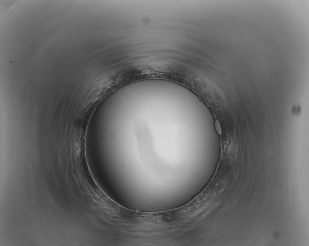 X0000094371012200711091532