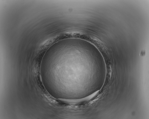 X0000094371014200711091533