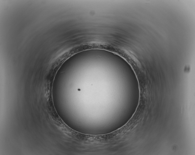 X0000094371015200711091533