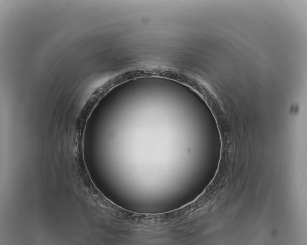 X0000094371016200711091533