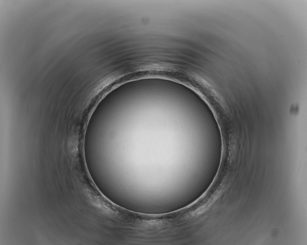 X0000094371017200711091533