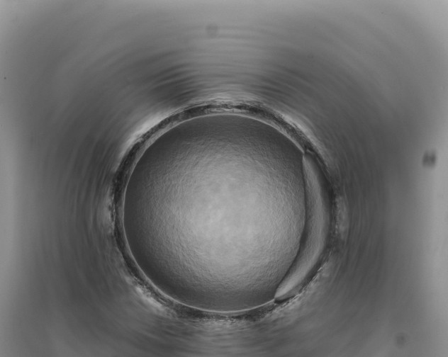 X0000094371018200711091533