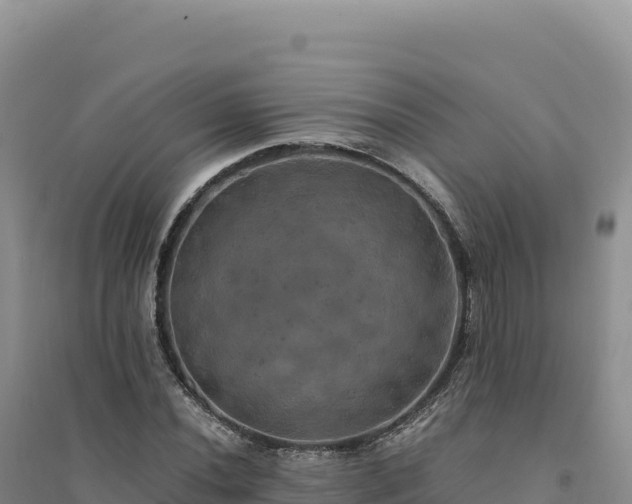 X0000094371020200711091533