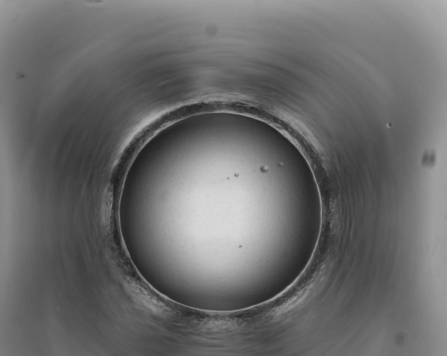 X0000094371021200711091533
